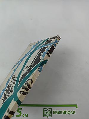 Дразнящее эхо