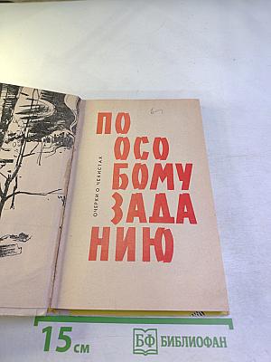 По особому заданию. Очерки о чекистах