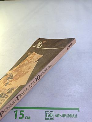 Роман-газета для юношества, №5 (1989): Момент истины / Ничего не случилось...