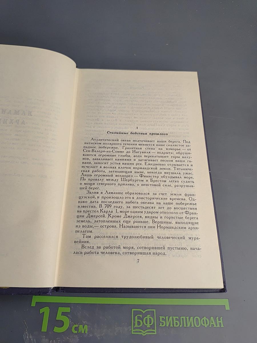 Собрание сочинений в десяти томах. Том 8: Труженики моря