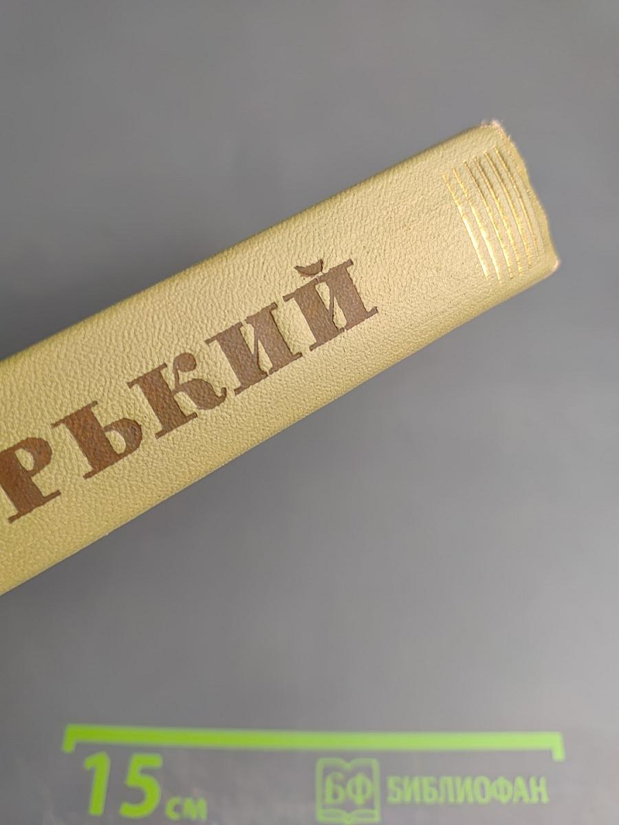 Собрание сочинений. Том 15. Жизнь Клима Самгина (Сорок лет). Часть четвертая