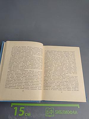 Витязь в тигровой шкуре