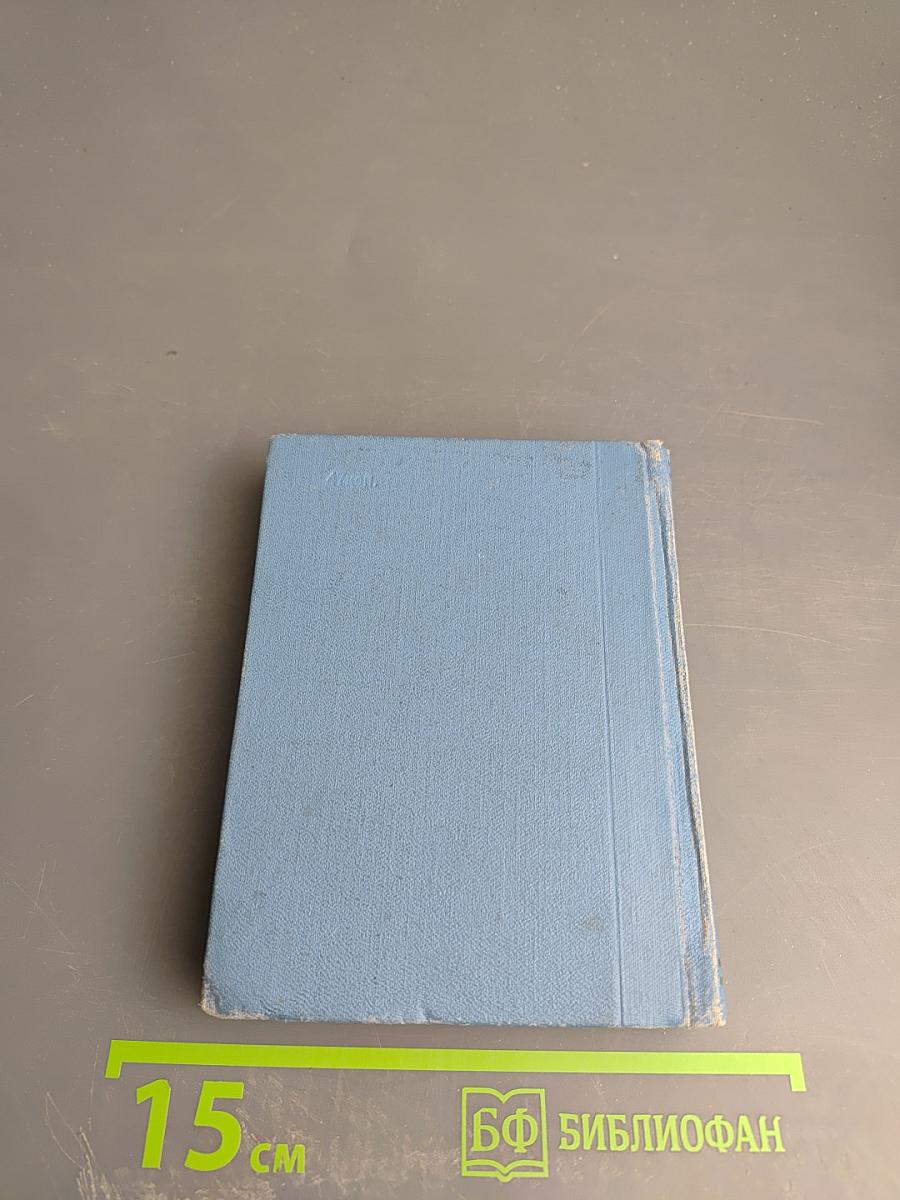 Витязь в тигровой шкуре