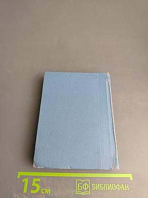 Витязь в тигровой шкуре