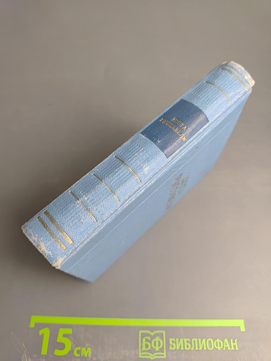 Витязь в тигровой шкуре