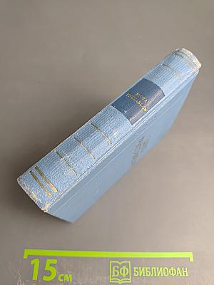 Витязь в тигровой шкуре