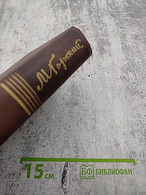 Жизнь Клима Самгина 1925-1936. Том двадцать второй