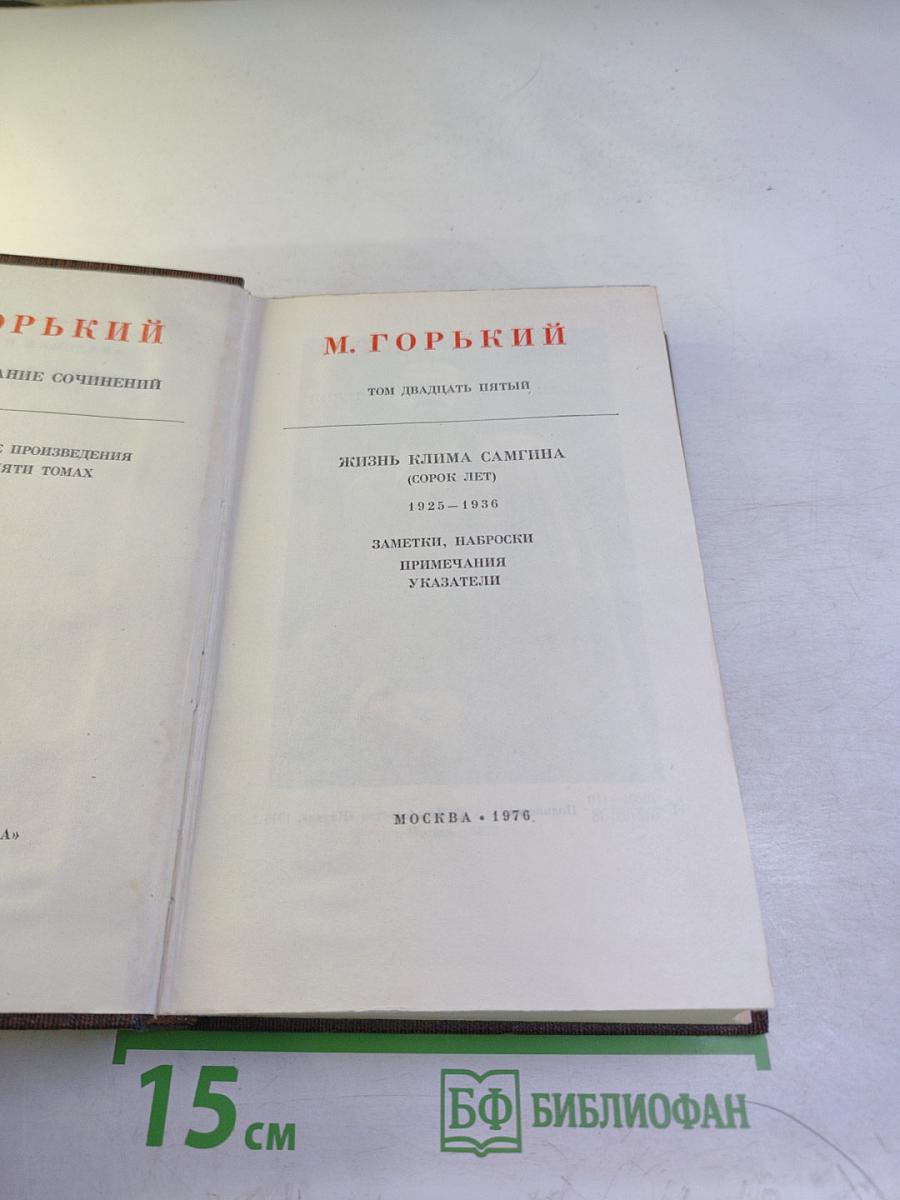 Жизнь Клима Самгина (Сорок лет). Заметки, наброски, примечания, указатели. Том 25