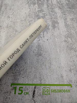 Мой город Санкт-Петербург