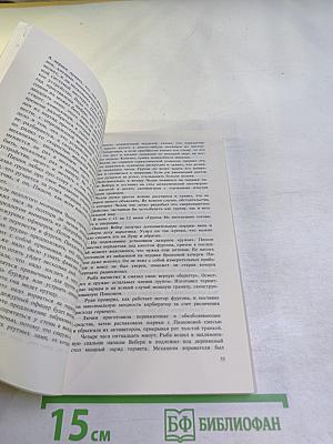 Час нетопыря