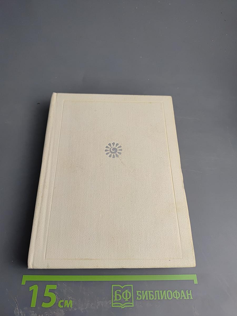 Корабельный бор