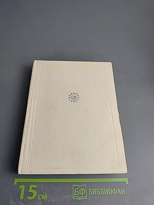 Корабельный бор