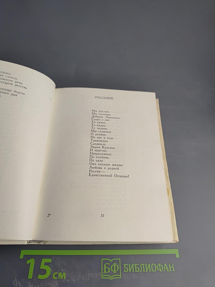 Корабельный бор