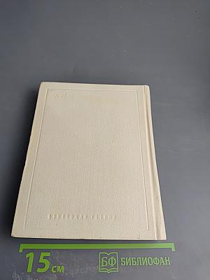 Корабельный бор