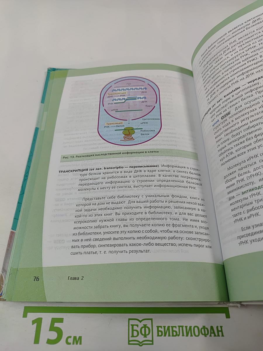 Биология. Общая биология. Базовый и углубленный уровни. 10 класс