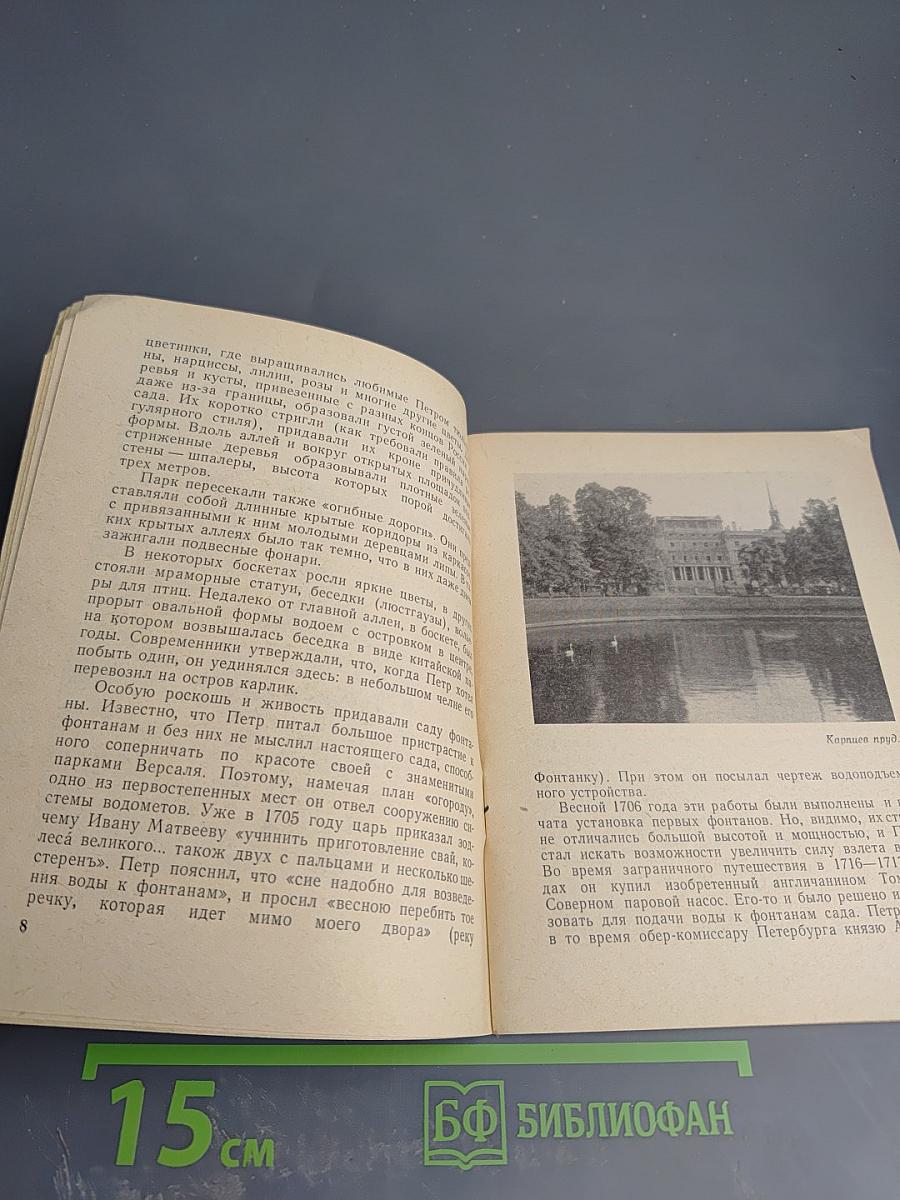 Летний сад и Летний дворец Петра I