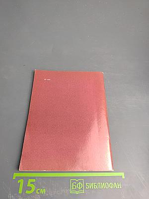 Летний сад и Летний дворец Петра I