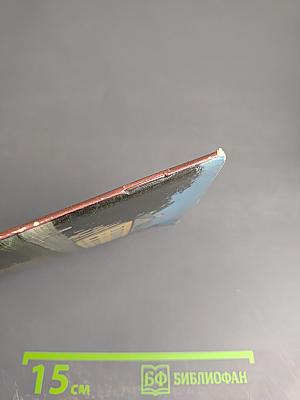 Летний сад и Летний дворец Петра I