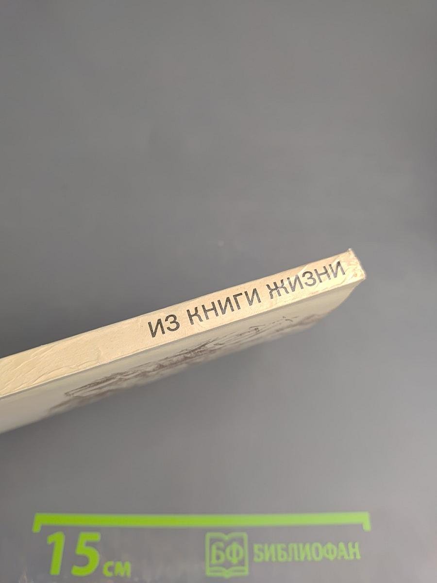 Из книги жизни