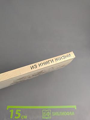 Из книги жизни