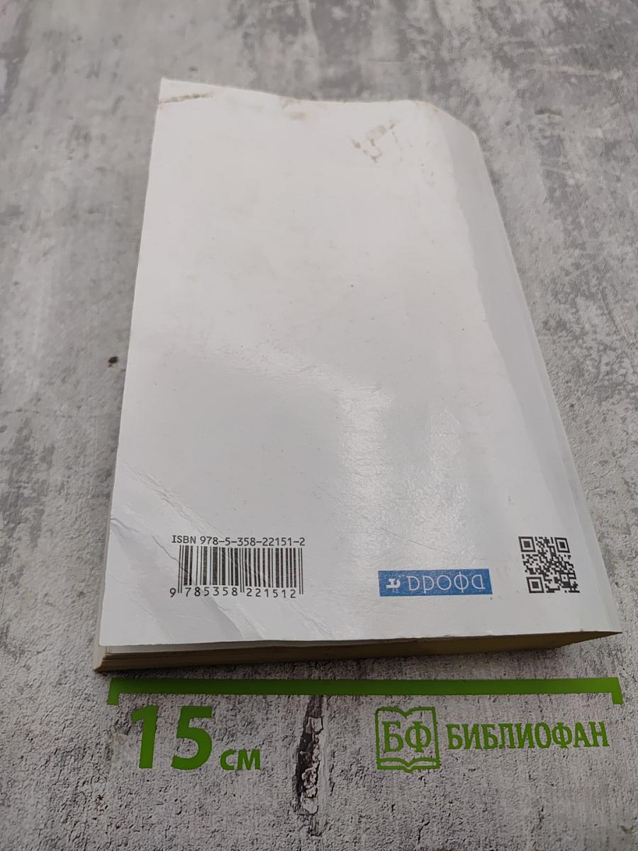 Литература. 11 класс. Часть 2