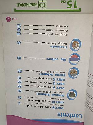 Team Up! Английский язык. Учебник. 2 класс. В 2 частях. Часть 2