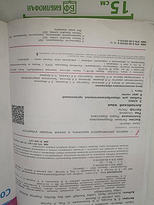 Team Up! Английский язык. Учебник для 2 класса. Student's Book. Часть 1