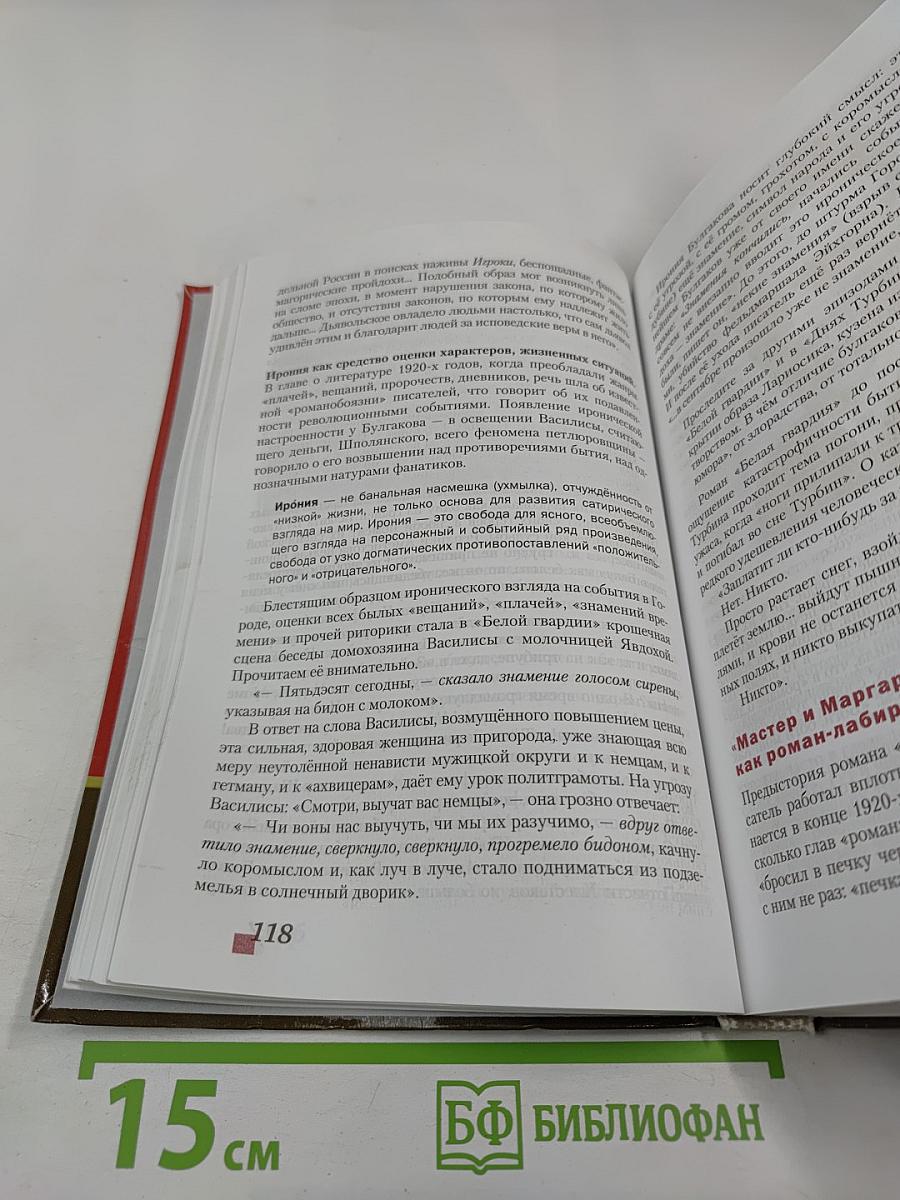 Литература 11 класс, Часть II