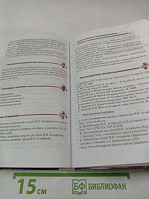 Литература 11 класс, Часть II