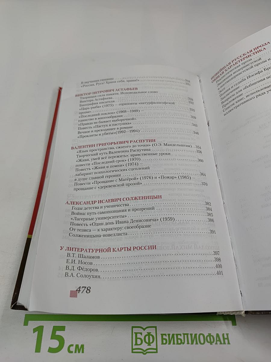 Литература 11 класс, Часть II