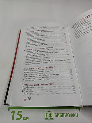 Литература 11 класс, Часть II