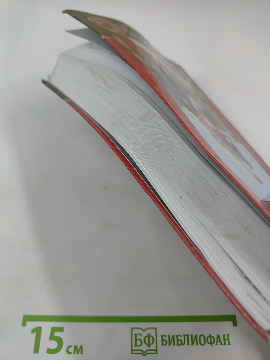 Литература 11 класс, Часть II