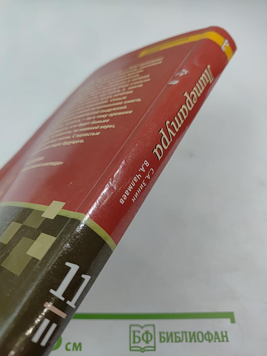 Литература 11 класс, Часть II