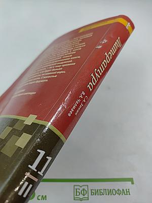 Литература 11 класс, Часть II