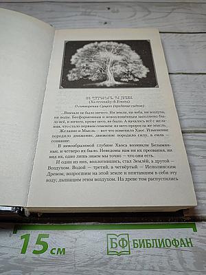 Тэрн