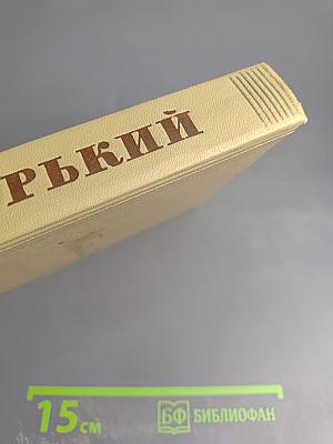 Собрание сочинений. Том 13. Жизнь Клима Самгина. Часть вторая