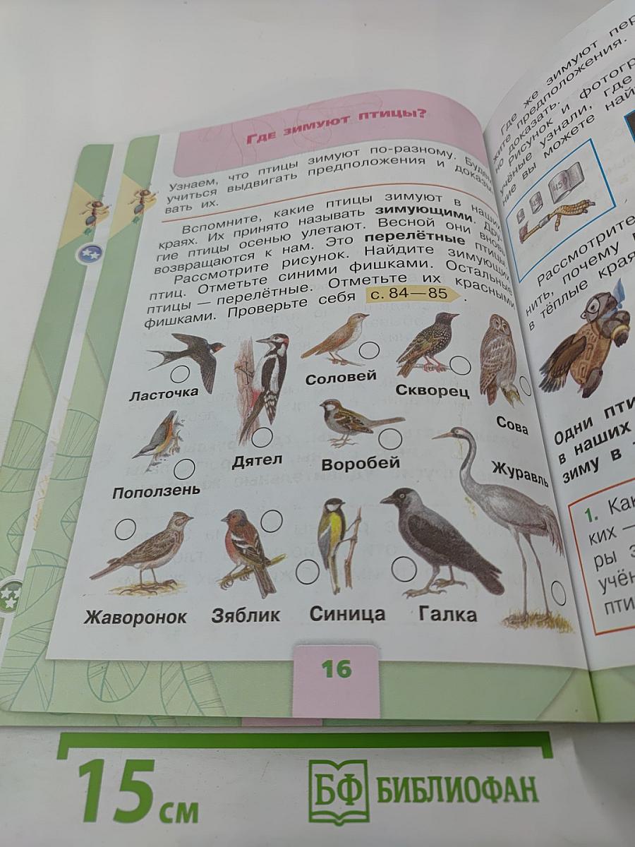 Окружающий мир 1 класс Часть 2