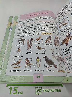 Окружающий мир 1 класс Часть 2