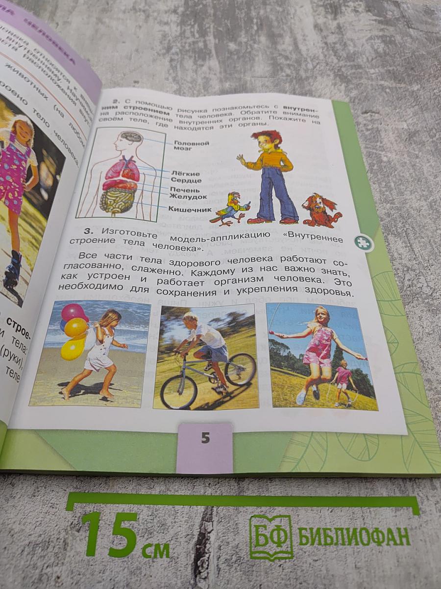 Окружающий мир, 2 класс, Часть 2