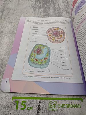 Биология 7 класс