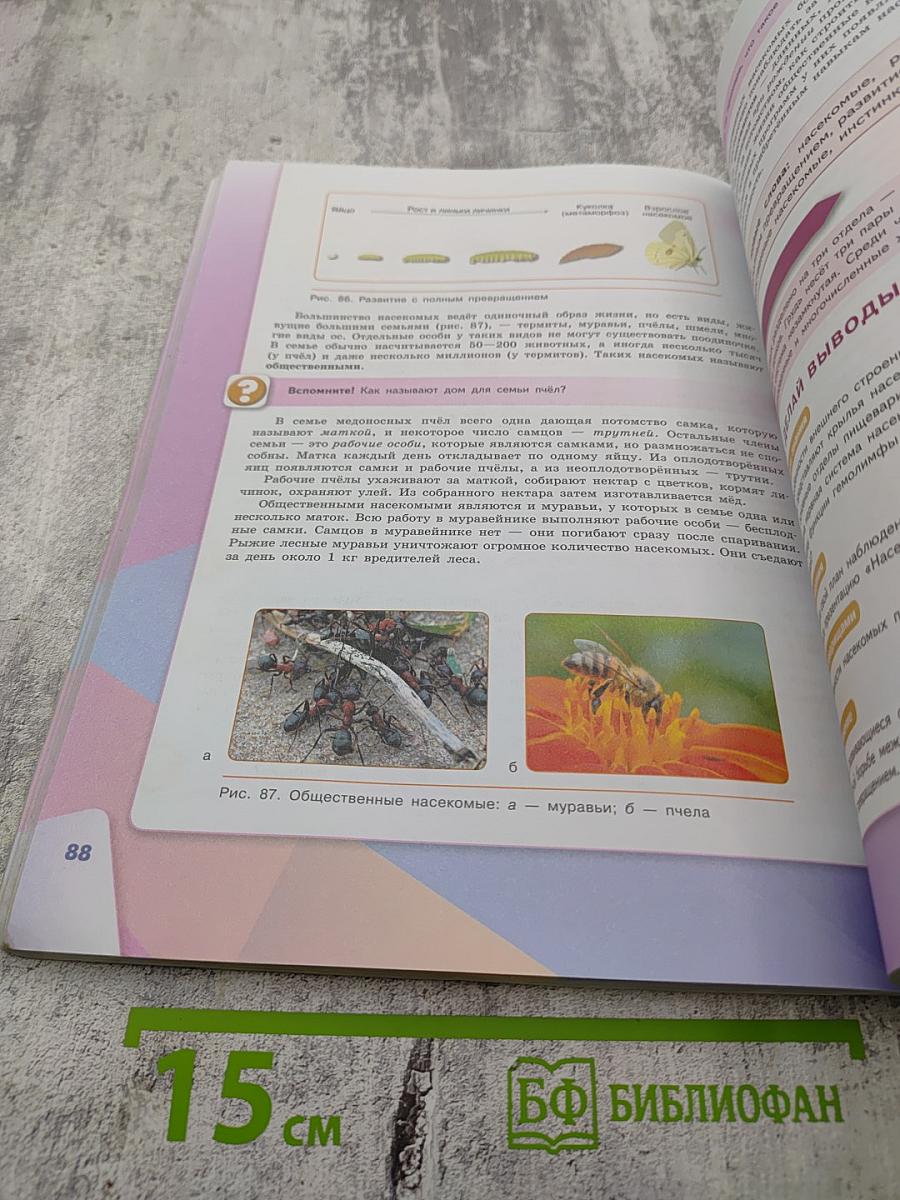 Биология 7 класс