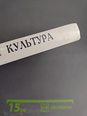 Мировая художественная культура. Возрождение. Учебное пособие для старших классов средней школы. Часть II, книга 2