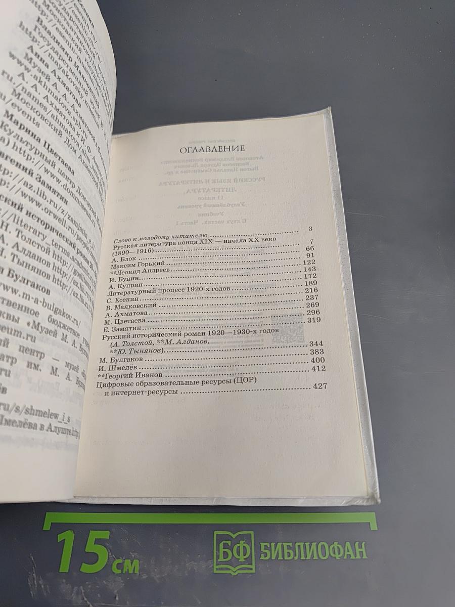 Литература. 11 класс, часть 1. Углубленный уровень