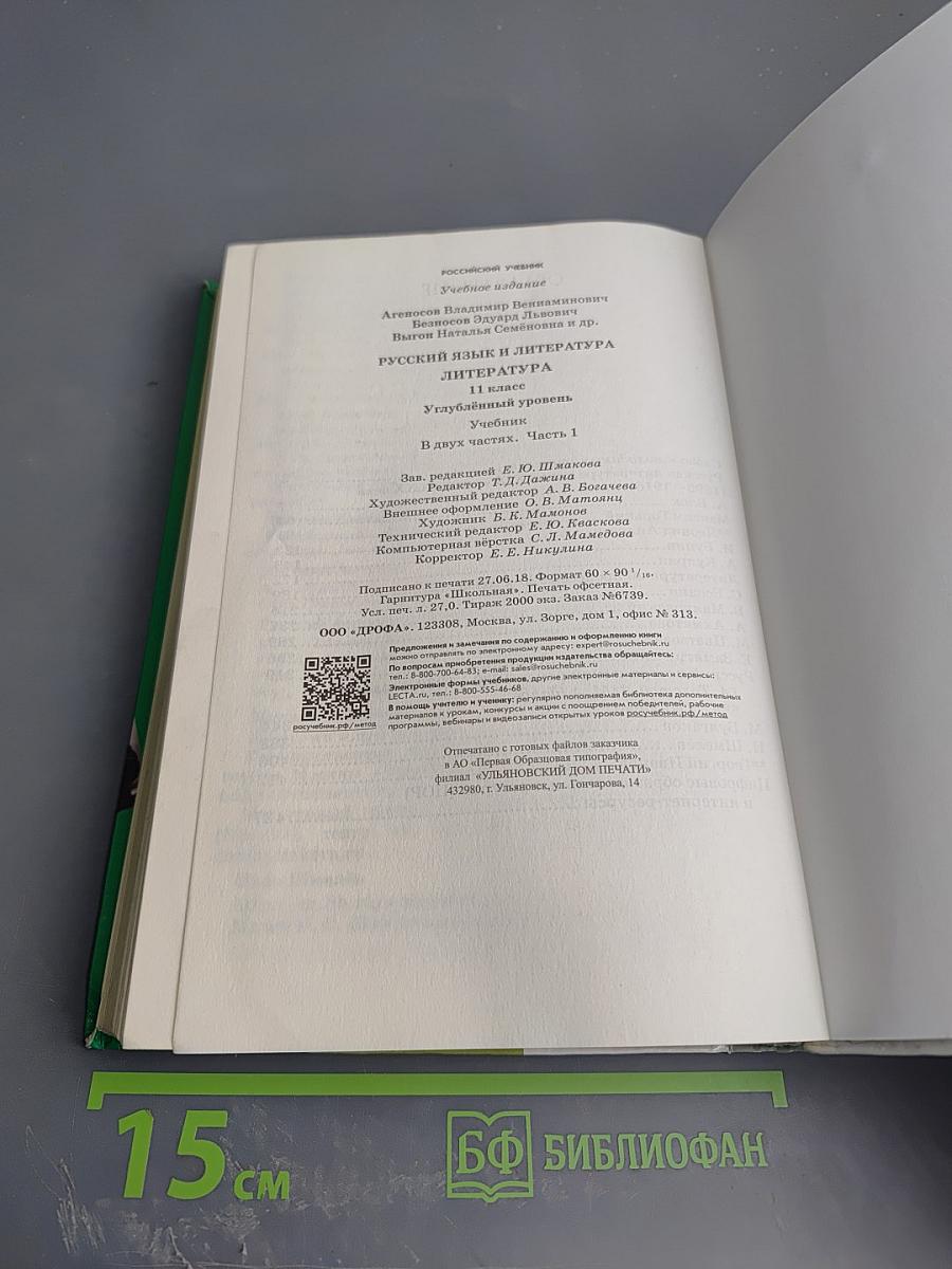 Литература. 11 класс, часть 1. Углубленный уровень