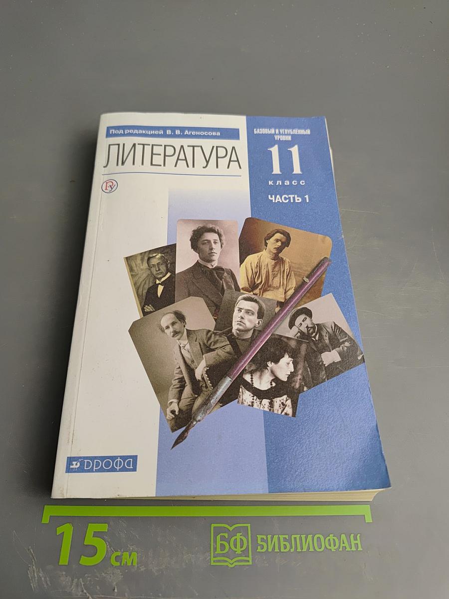 Литература 11 класс Часть 1