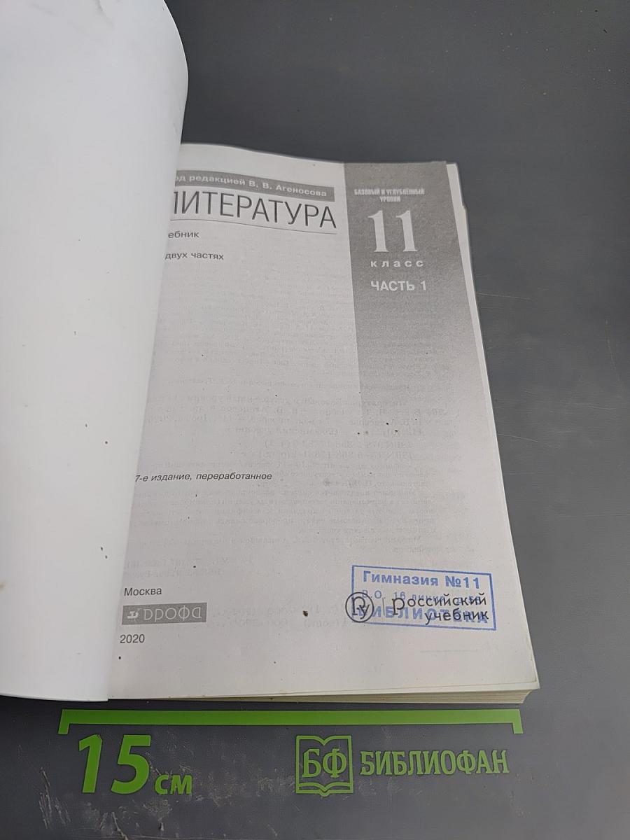 Литература 11 класс Часть 1