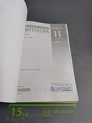 Литература 11 класс Часть 1