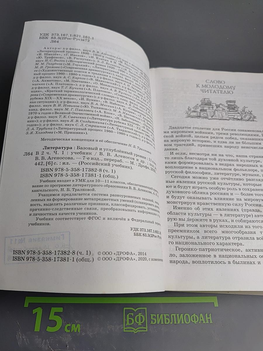 Литература 11 класс Часть 1