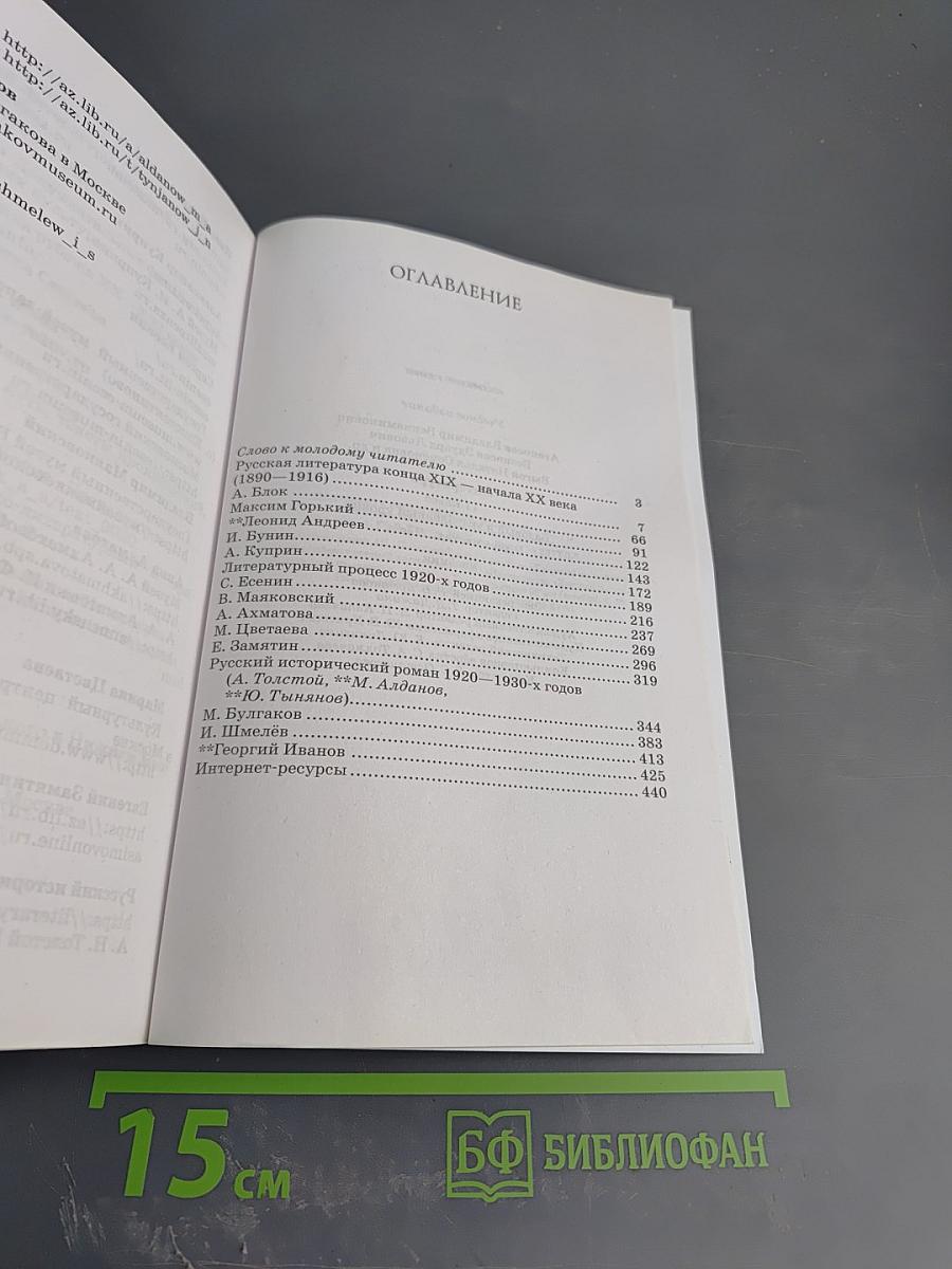 Литература 11 класс Часть 1