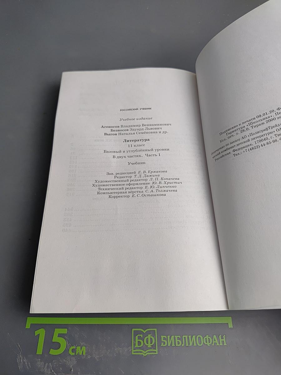 Литература 11 класс Часть 1
